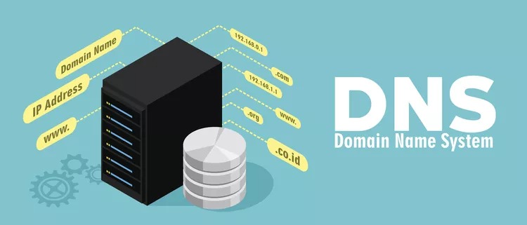 What is DNS by creativeonAE