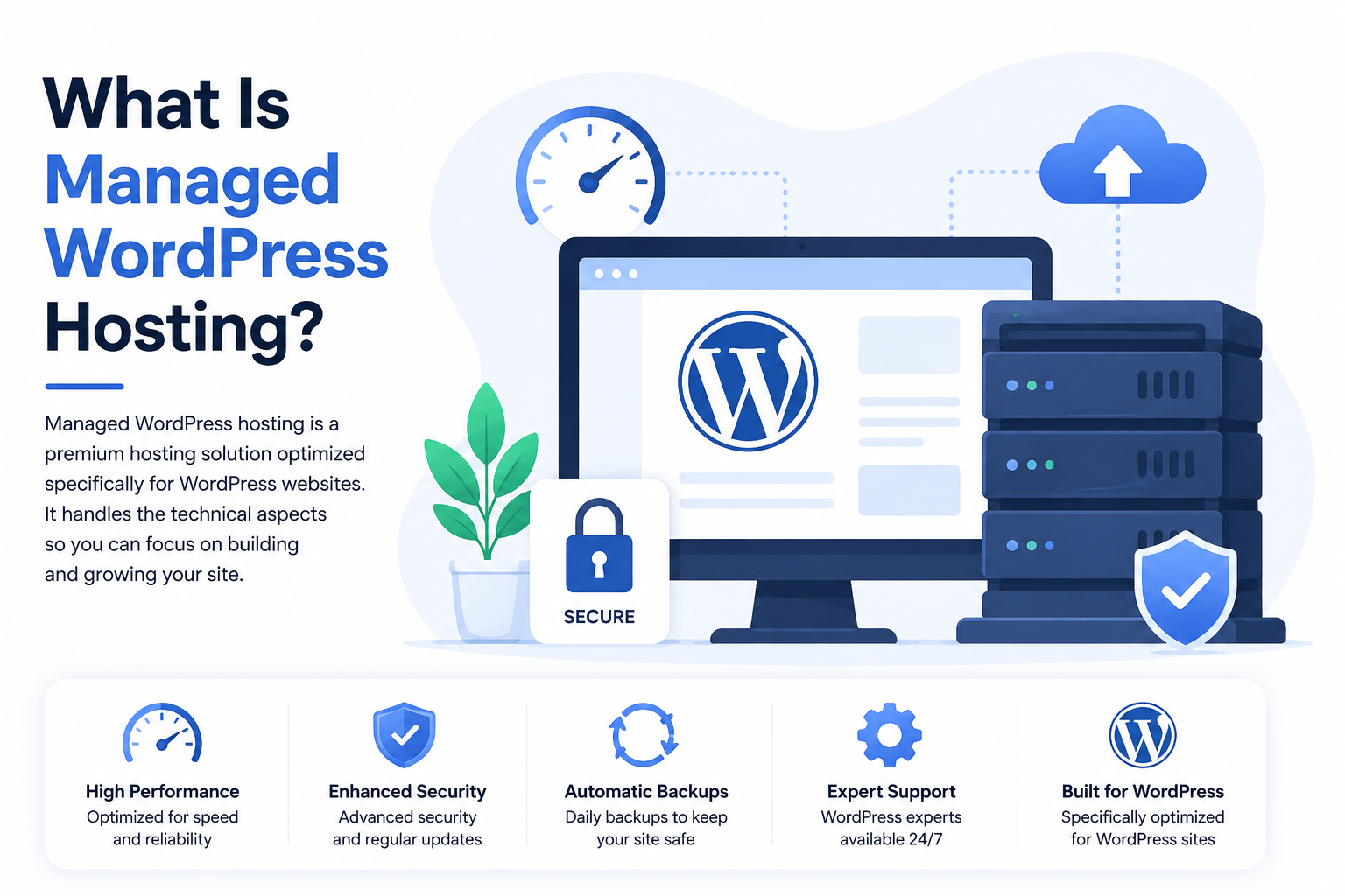 Before Installing WordPress on Hosting