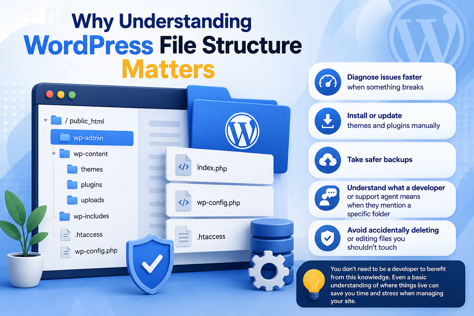 Why Understanding WordPress File Structure Matters